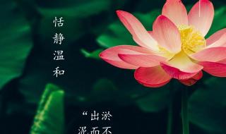 小暑节气的含义