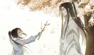 《二哈和他的白猫师尊》中楚晚宁是不是楚洵